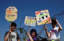 В Лондоне экоактивисты захватили часть Музея естествознания (фото)