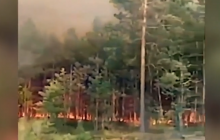 Горит один из крупнейших украинских заповедников (видео)