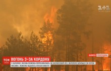 У заповіднику на Рівненщині ліквідовано масштабну пожежу, що перекинулася з Білорусі (відео)