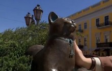 Прилегла погреться возле Дюка: в Одессе появился памятник беззаботной кошке Софе (видео)