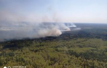 На Житомирщині загасили масштабну лісову пожежу