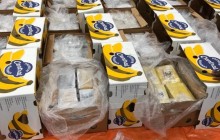 В Нидерландах среди бананов обнаружили партию кокаина весом в 1,6 тонны