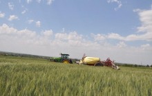 Потенциал агрорынка Украины - расти на 20% ежегодно - Олег Бахматюк