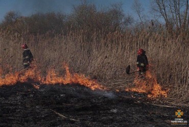 Украинцев предупредили: сжигание травы и мусора будут приравниваться к диверсиям