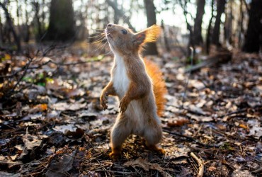 Відомий синоптик попереджає про неоднорідну погоду в Україні: до чого готуватись