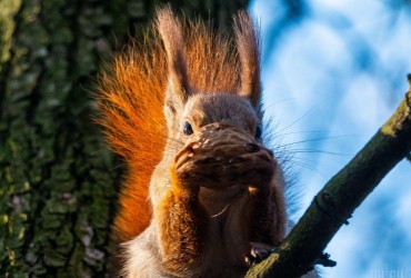 Синоптик предупредил об аномалии на выходных: В Украину врывается африканское тепло
