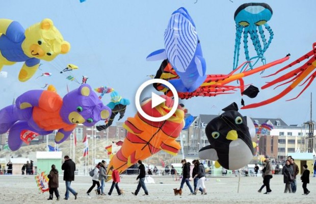 Гигантский кит и ловкие "акробаты": во Франции проходит фестиваль воздушных змеев (видео)