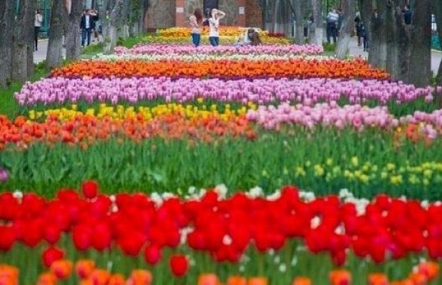 Куда поехать на майские праздники по Украине: топ-5 бюджетных решений отдыха (видео)