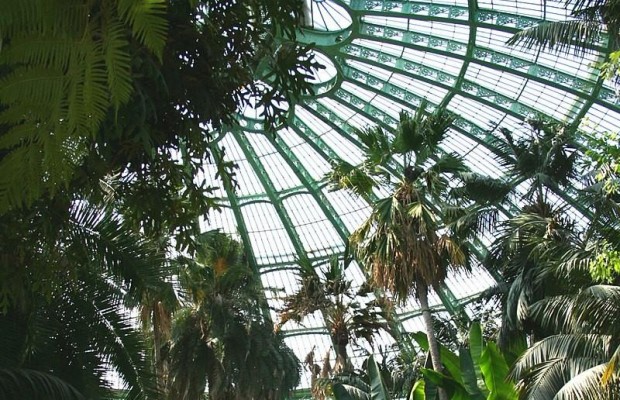 У Брюсселі відкрили для відвідувачів королівську теплицю Laeken (відео)