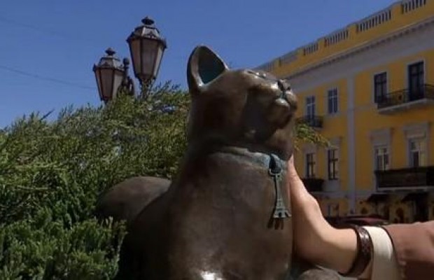 Прилягла погрітися біля Дюка: в Одесі з’явився пам’ятник безтурботній кішці Софі (відео)