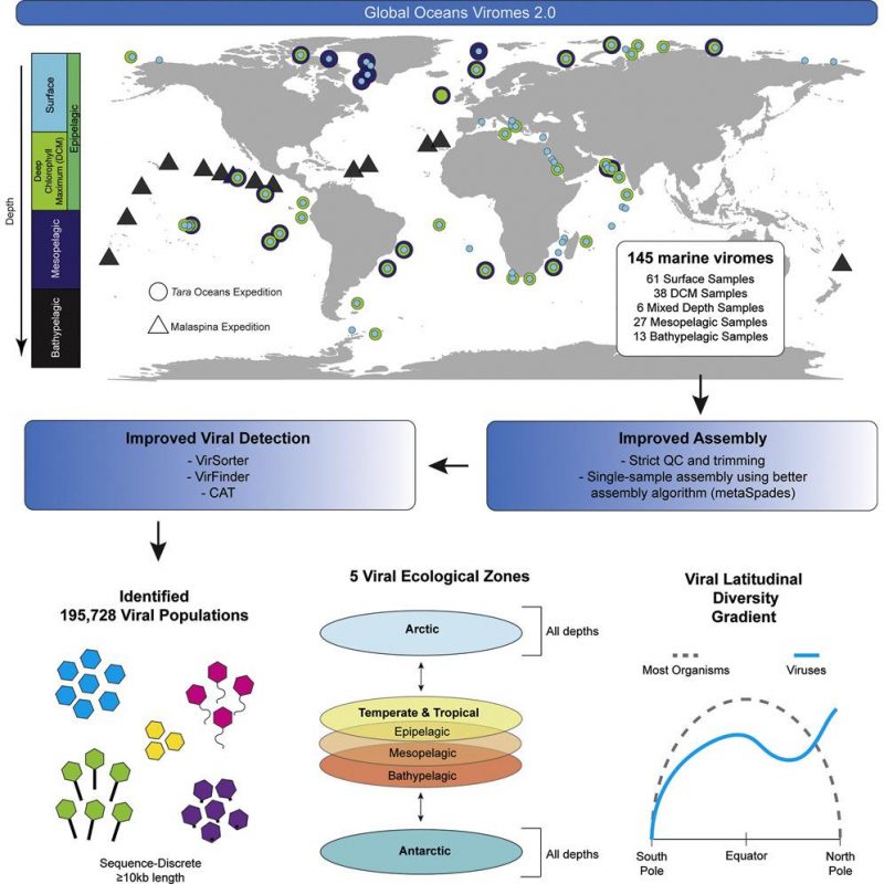 Графическая аннотация статьи / Sullivan et al. Cell