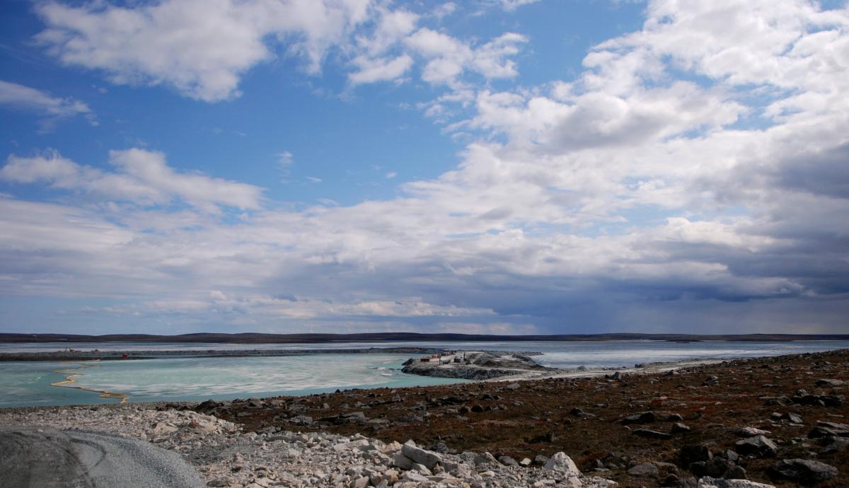 Иллюстрация / REUTERS