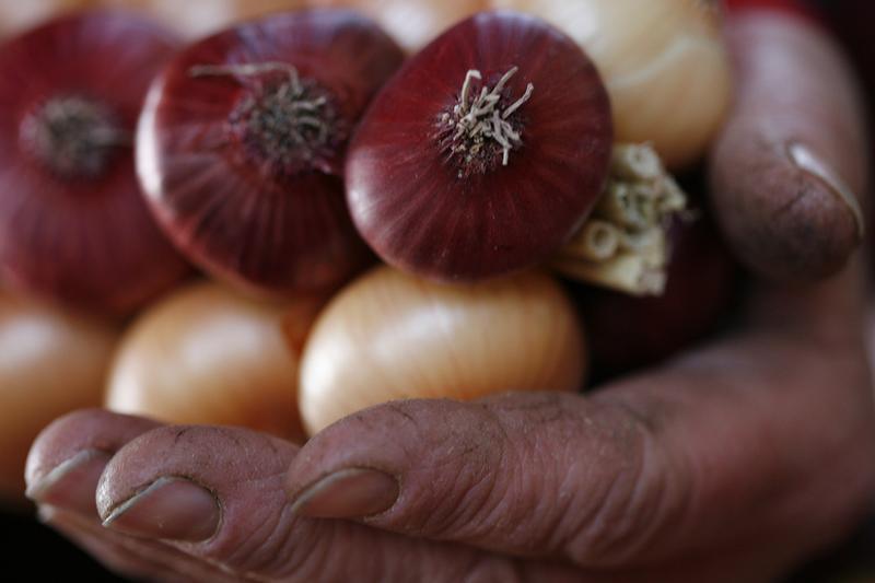 Когда и как сажать лук для хорошего урожая / фото REUTERS
