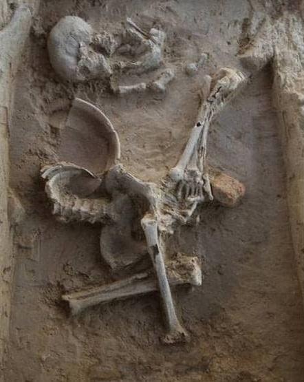 Фото: archaeologynewsnetwork Фото: archaeologynewsnetwork