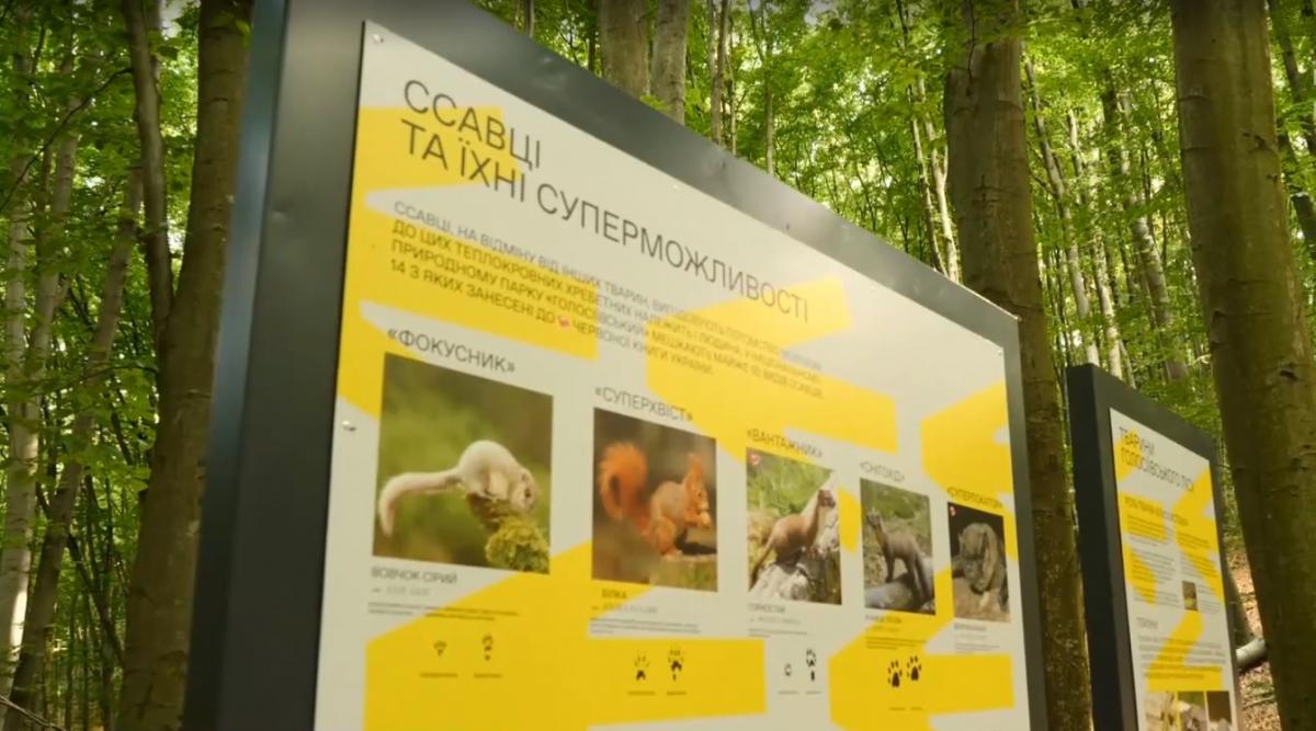 Під час подорожі екостежкою довжиною 3 км можна буде дізнатися про мешканців Голосіївського ліс / скріншот Під час подорожі екостежкою довжиною 3 км можна буде дізнатися про мешканців Голосіївського ліс / скріншот