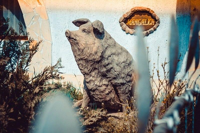 А це пам'ятник свині-мангалиці в Ботарі / Фото uk.wikipedia.org/Alkom-lviv