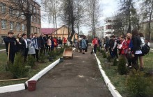 На Житомирщині невідомі викрали 40 туй з алеї, висадженої на честь загиблих учасників АТО
