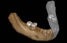 У Тибеті знайшли останки людей, що жили 160 тисяч років тому