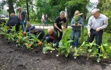 Сажайте цветы, а не людей: в Киеве в поддержку Сенцова высадили цветы