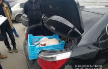 На Київщині невідомі вкрали у підприємця дві тушки індиків, погрожуючи іграшковим автоматом (фото)