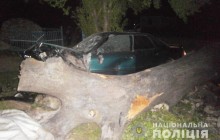 На Тернопільщині в реанімацію госпіталізовано водія, який на швидкості врізався у лежачий стовбур дерева (фото)