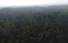 Житомирщиною пронісся буревій - понад 100 гектарів лісу "знесло" за лічені хвилини (відео)