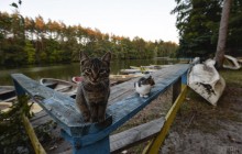 Отдых за Киевом: когда очень нужна перезагрузка, но нет возможности выехать далеко и надолго