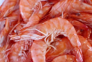 Назван ряд опасных продуктов