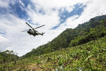 У Колумбії четверо дітей жили в джунглях 40 днів після авіакатастрофи (відео)