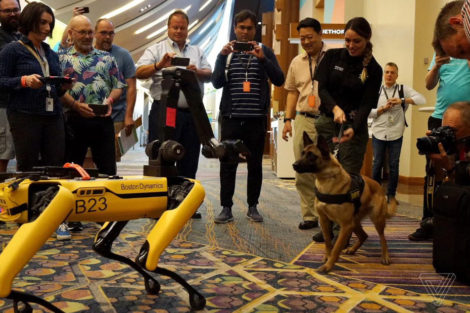 Робот Bostom Dynemics пограв з цим псом / фото twitter.com/jjvincent