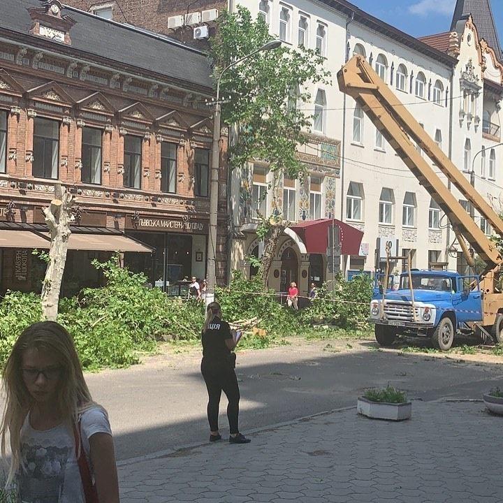 'Спасите деревья Днепра!' Активист обратилась к Зеленскому 'Спасите деревья Днепра!' Активист обратилась к Зеленскому