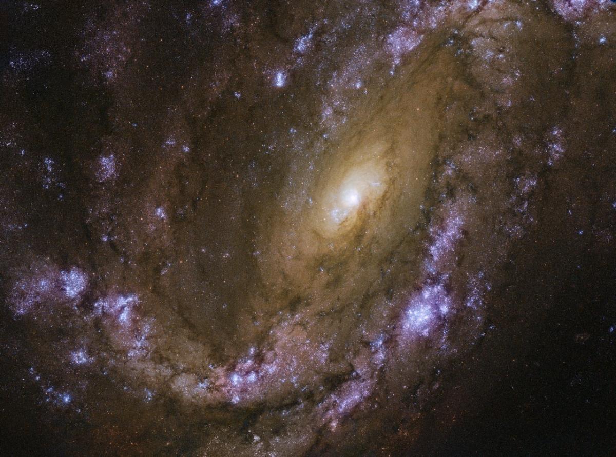 Телескоп Hubble сделал снимок галактики NGC 4051 / фото ESA/Hubble & NASA, D. Crenshaw and O. Fox Телескоп Hubble сделал снимок галактики NGC 4051 / фото ESA/Hubble & NASA, D. Crenshaw and O. Fox