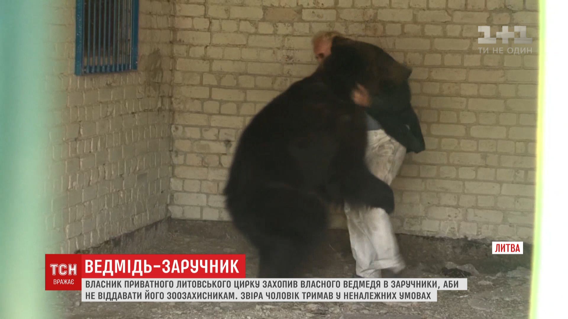 Отдавать животное мужчина категорически отказался / скриншот Отдавать животное мужчина категорически отказался / скриншот