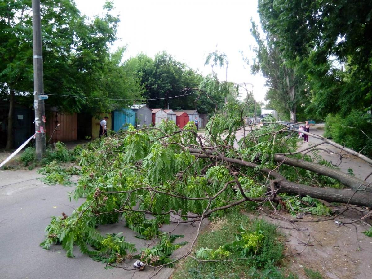 На Днепропетровщине бушевала непогода / ГУ ГЧСЧС в Днепропетровской области На Днепропетровщине бушевала непогода / ГУ ГЧСЧС в Днепропетровской области