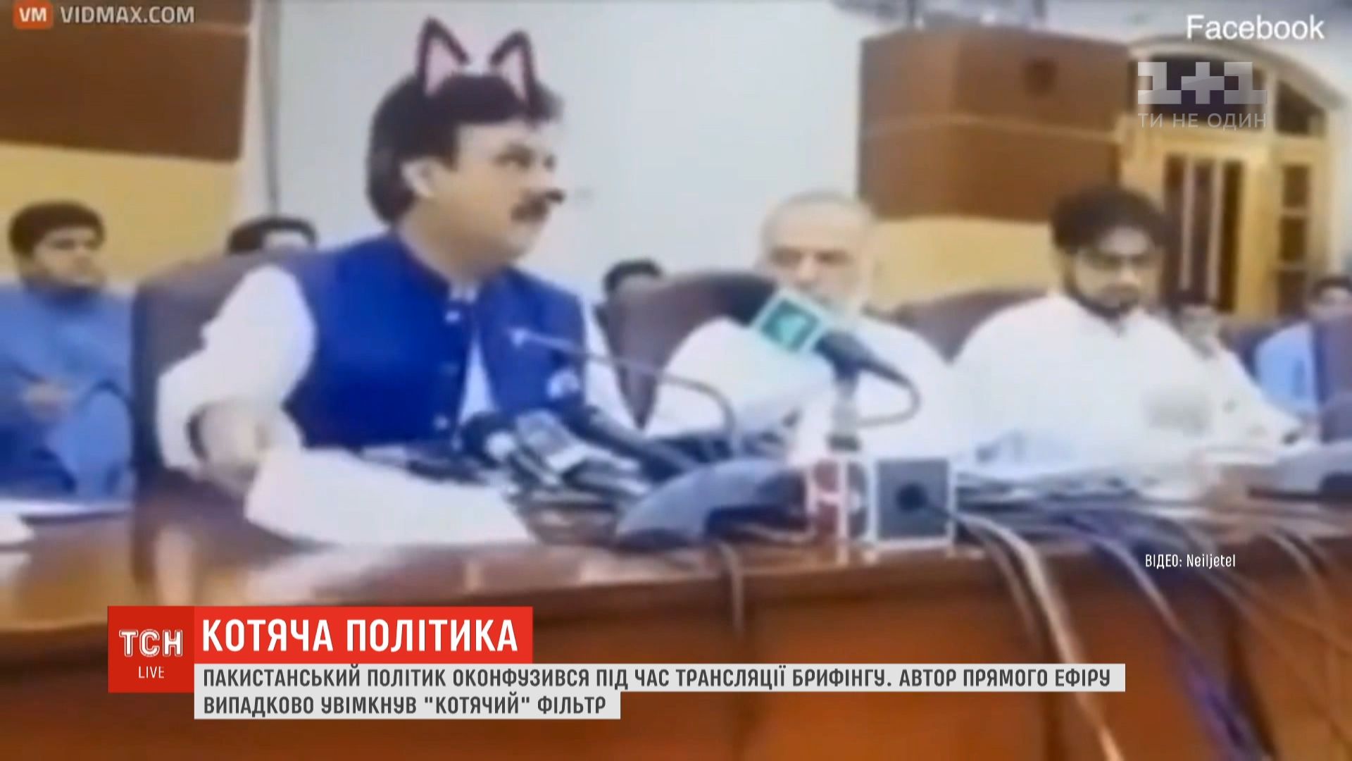 Над головою політика з’явилися рожеві вуха та вуса / скріншот Над головою політика з’явилися рожеві вуха та вуса / скріншот