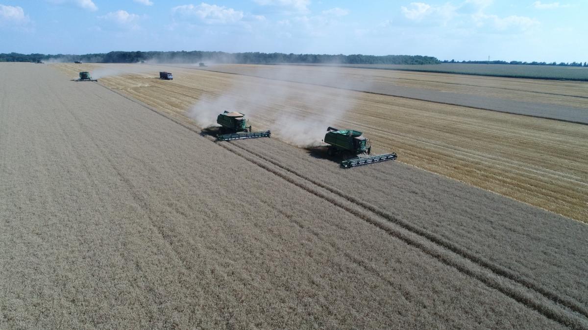 В «Укрлендфармінгу» Бахматюка прогнозують високий урожай озимих зернових