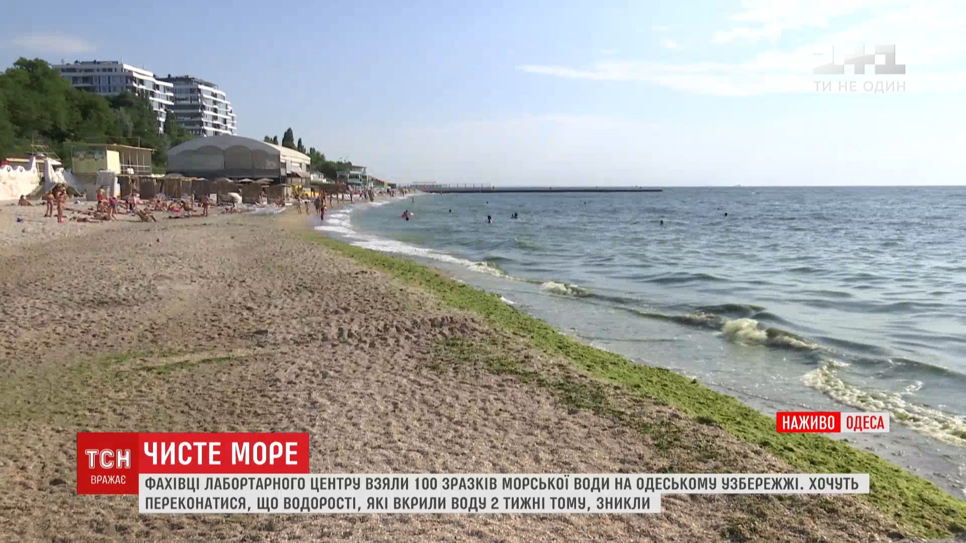 Морська вода на одеських пляжах вже чиста і прозора / скріншот Морська вода на одеських пляжах вже чиста і прозора / скріншот