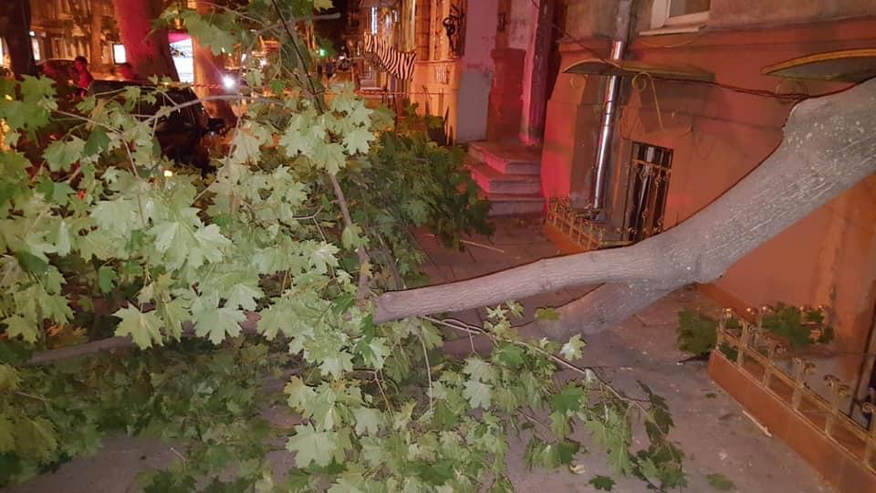 фото управления патрульной полиции в Одесской области фото управления патрульной полиции в Одесской области