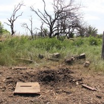 На оккупированной части Донецкой области тракторист подорвался на мине