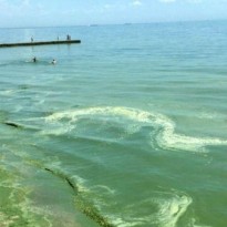 Стартовал третий этап исследований экологического состояния Черного моря с участием украинских ученых