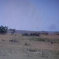 В сети показали видео разгрома позиции "ДНР"