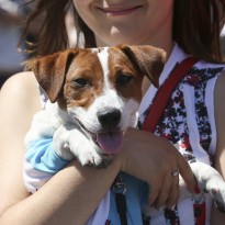Kyiv to start building new animal welfare center in autumn