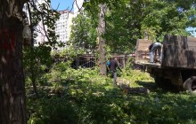В Одесі на проспекті Героїв Небесної Сотні масово вирубили дерева (фото)
