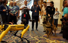 Робопес от Boston Dynamics поиграл с живой овчаркой (видео)
