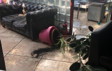 В России разгромили редакцию издания "Сноб" (фото)