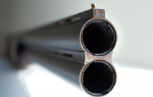 В Черниговской области браконьер убил самку краснокнижного лося