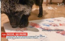 У Києві лисеня малює картини, які продають по 13 тисяч гривень (відео)