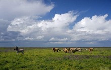 Унікальна природа та багаті гастрономічні традиції: на Херсонщині проходить фестиваль туристичної журналістики (фото)