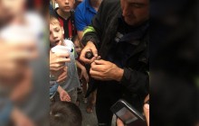 Кожен заслуговує на допомогу: на Львівщині рятувальники визволили ластівку з пастки під дахом будинку (фото, відео)