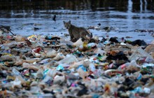 Під Харковом у річці – "затори" через викинуте сміття (відео)